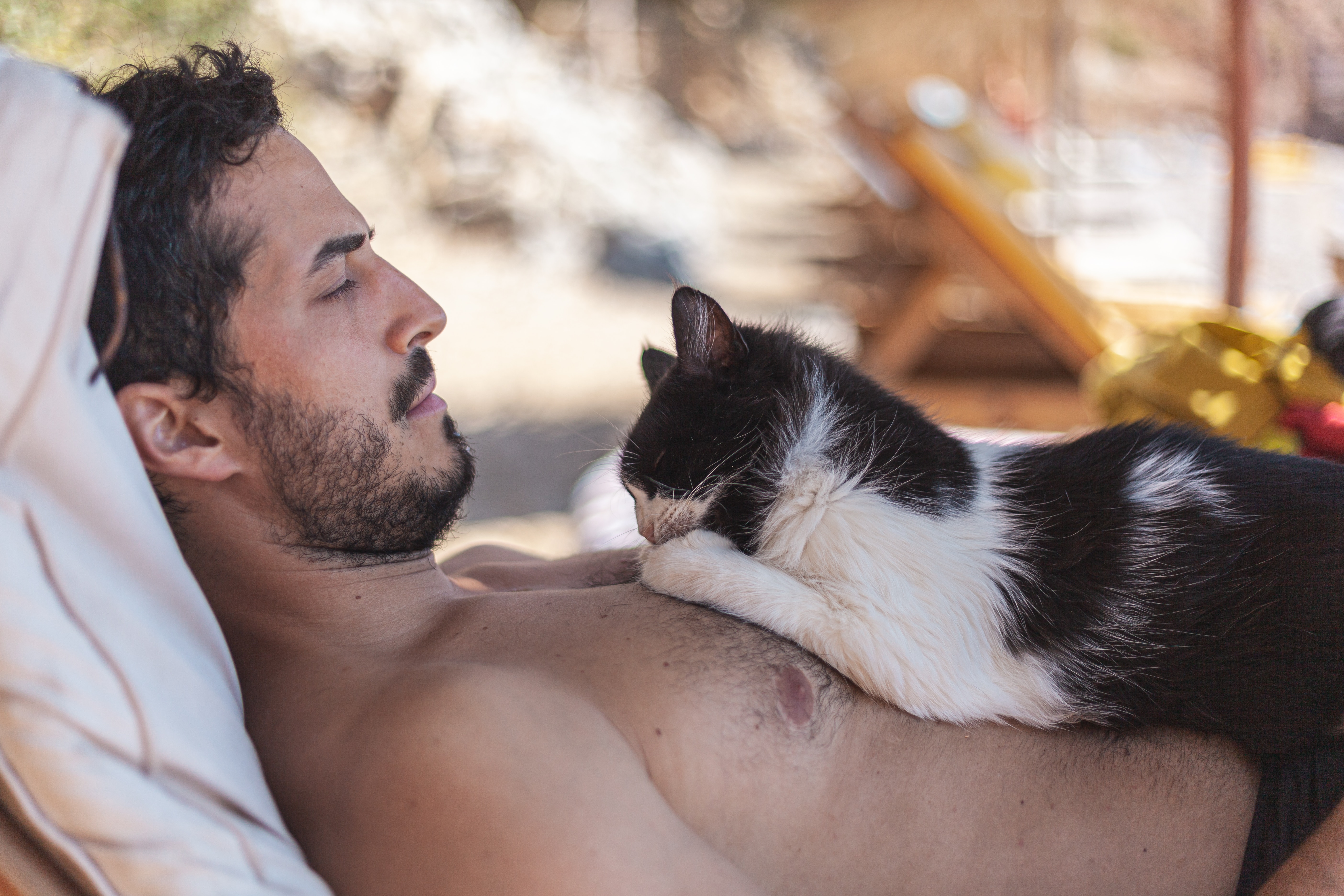homme chat
